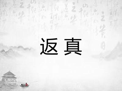 返真