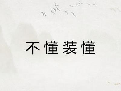不懂装懂 不懂装懂