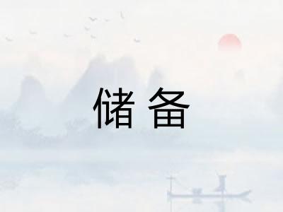 储备 储备