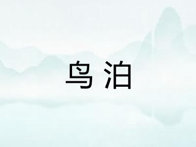 鸟泊