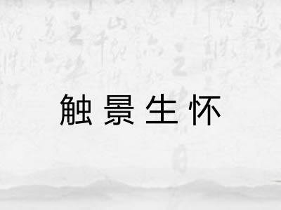 触景生怀