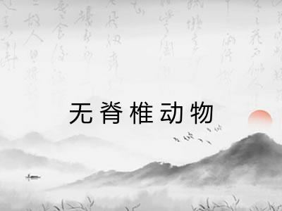 无脊椎动物