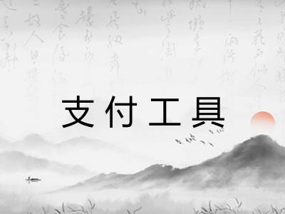 支付工具