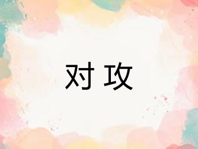 对攻
