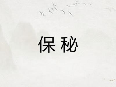 保秘 保秘