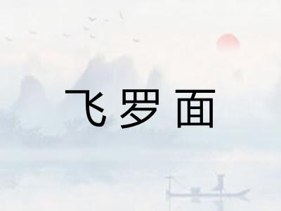 飞罗面