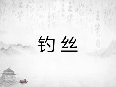 钓丝 钓丝