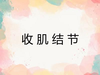 收肌结节 收肌结节