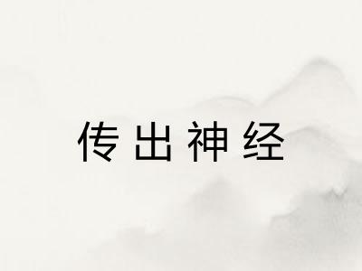 传出神经 传出神经