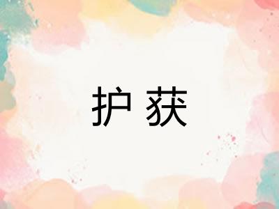 护获