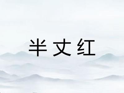 半丈红