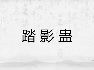 踏影蛊