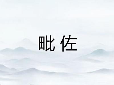 毗佐