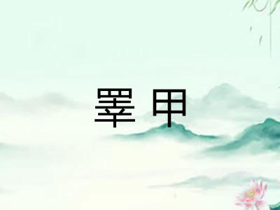 睪甲