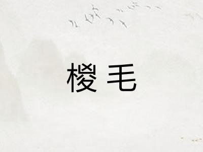 椶毛 椶毛