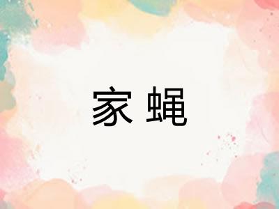 家蝇