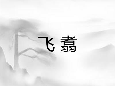 飞翥