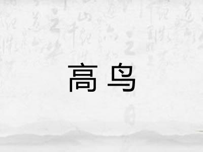 高鸟 高鸟