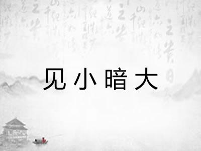见小暗大
