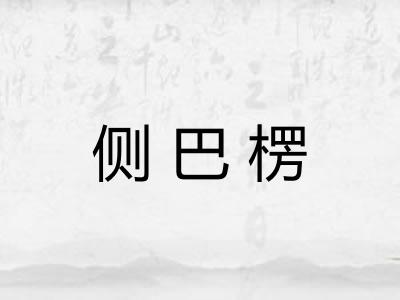 侧巴楞 侧巴楞
