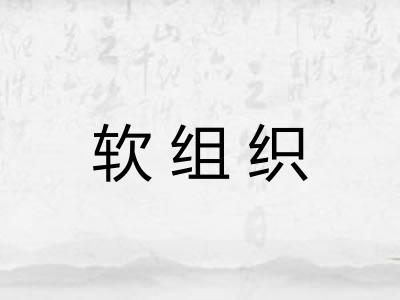 软组织 软组织