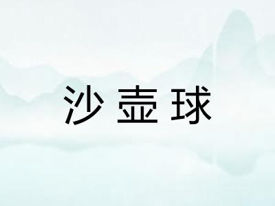 沙壶球