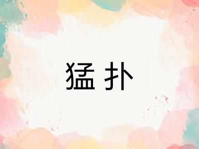 猛扑