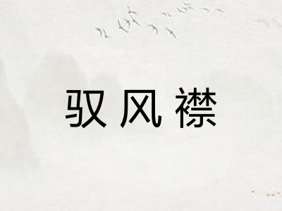 驭风襟