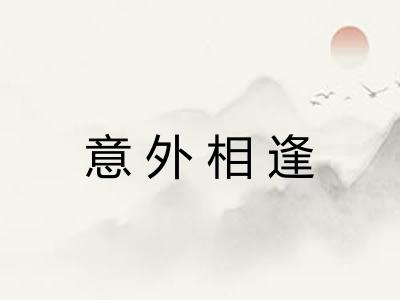 意外相逢
