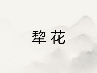 犂花