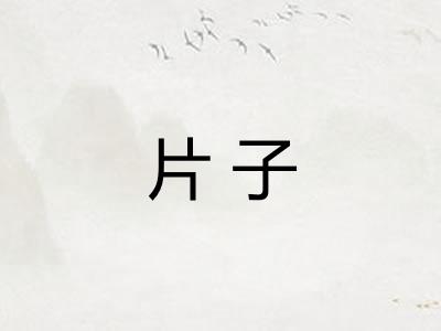 片子