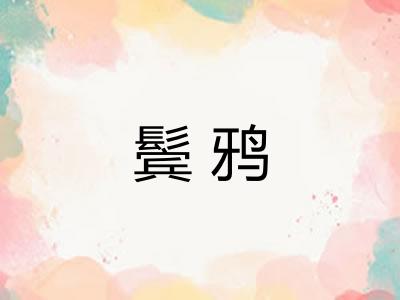 鬓鸦