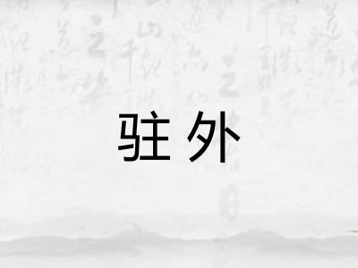 驻外