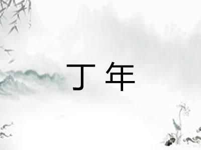 丁年 丁年