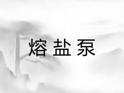 熔盐泵