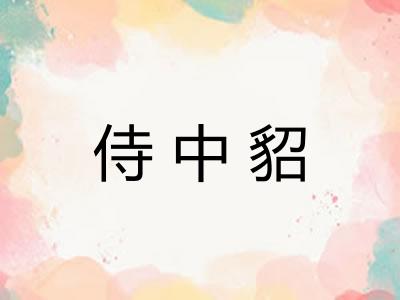 侍中貂