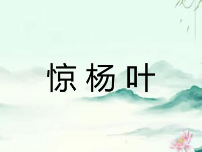 惊杨叶