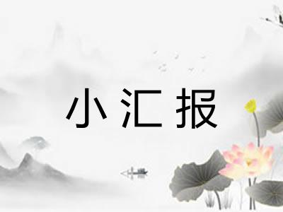 小汇报 小汇报