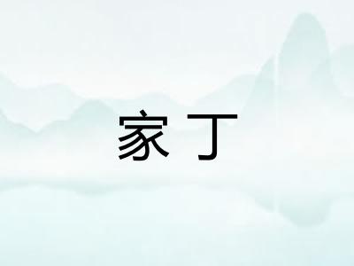 家丁 家丁