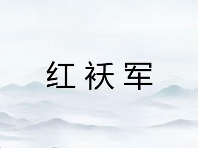红袄军 红袄军