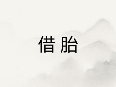 借胎