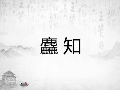 麤知
