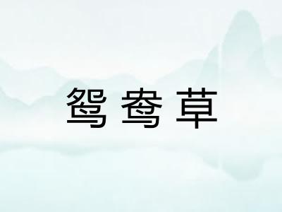 鸳鸯草