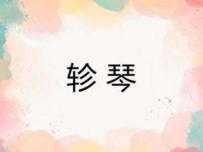 轸琴