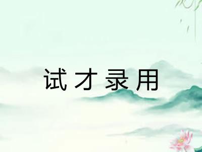 试才录用
