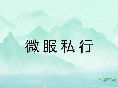 微服私行