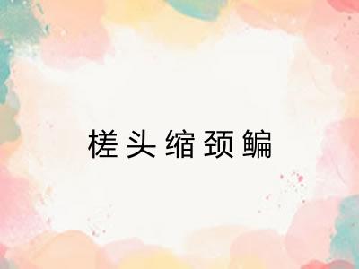 槎头缩颈鳊 槎头缩颈鳊