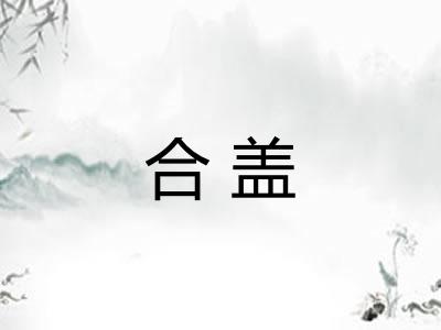 合盖 合盖