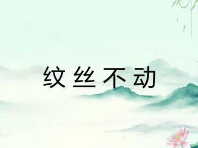 纹丝不动