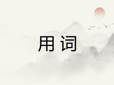 用词 用词